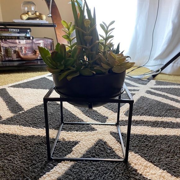 succulent home decor - Picture 1 of 2